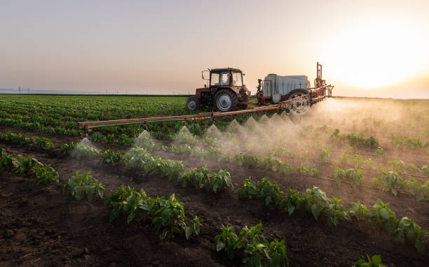 Best Cockroach Control Services  in Bayou Vista, TX