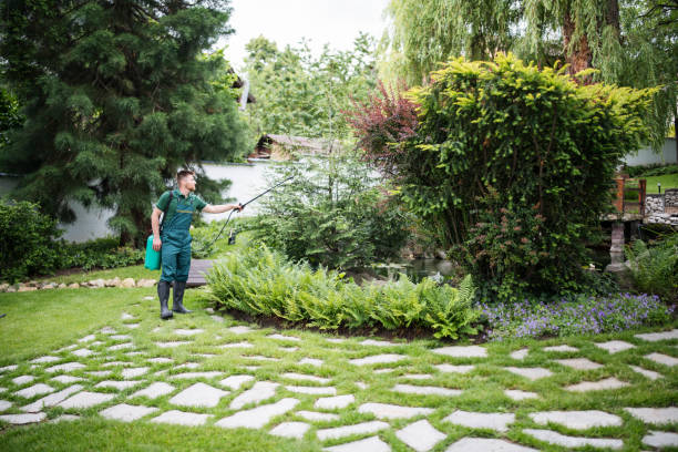 Best Wasp Removal Services  in Bayou Vista, TX