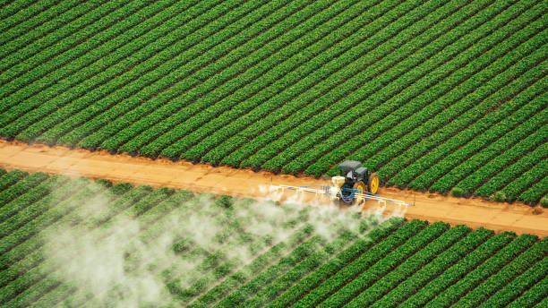 Best Pest Prevention Services  in Bayou Vista, TX