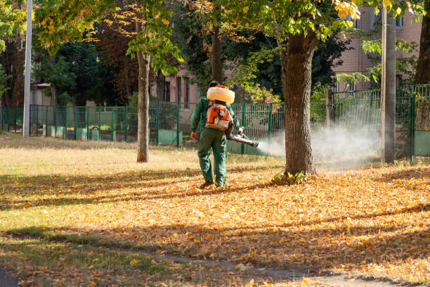 Reliable Bayou Vista, TX Pest Control Solutions