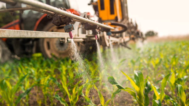 Best Pest Control for Homes  in Bayou Vista, TX